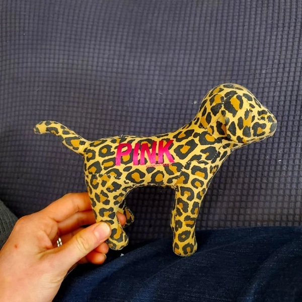 Victorias Secret PINK dog in 2025 | Pink dog, Vs pink dog, Victoria secret pink dog