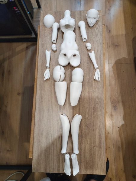 1/6 bjd doll, full body, unpainted parts. Realistic, head and body, 30cm