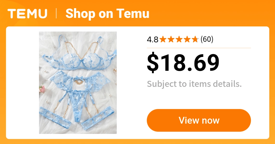 european     sheer mesh embroidered - Temu