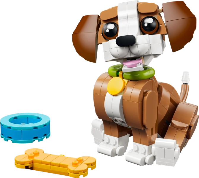 Cute Animals: Playful Puppy Dog
