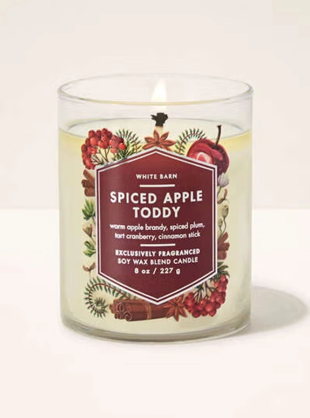 Spiced Apple Toddy Single Wick Candle