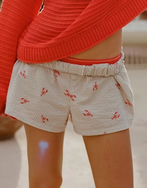Aerie Around Town Seersucker Boxer