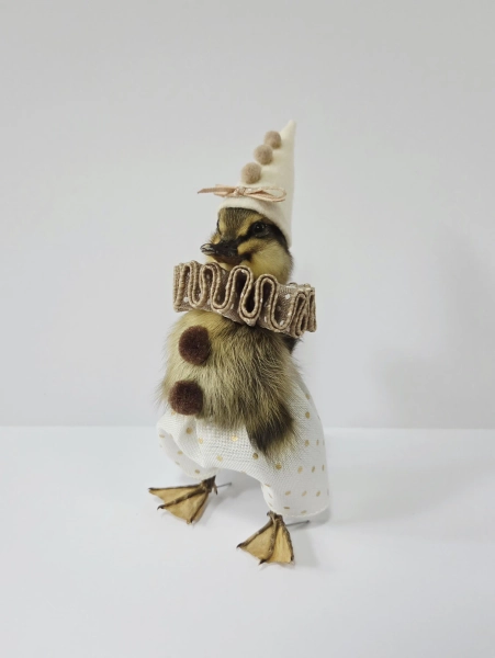 MADE TO ORDER-Silly Pierrot Taxidermy Duckling, Duck Clown Oddity, Real Bird Art, Unique Curiosity Doll, Anthropomorphic Baby Duck Pantomime