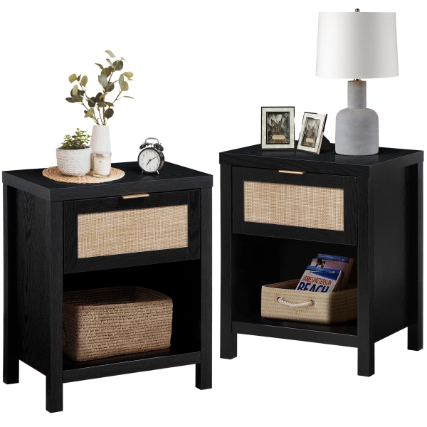 Alayha 19.7'' W Nightstand 2PC