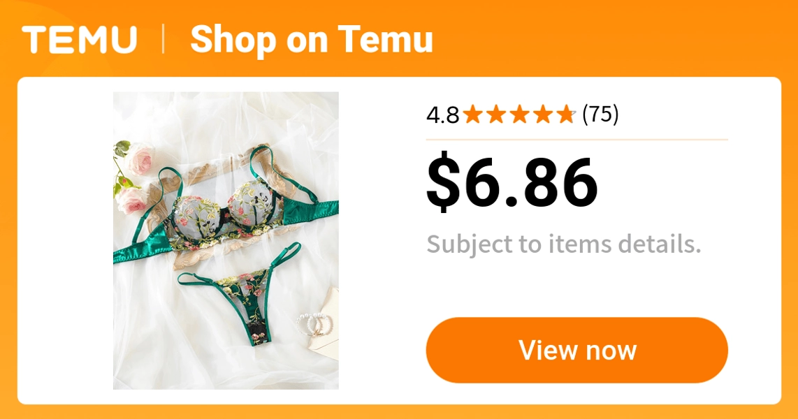embroidery embroidery transparent bra   super light   - Temu