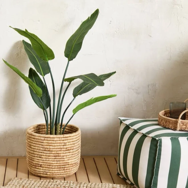 Home Faux Strelitzia Tree