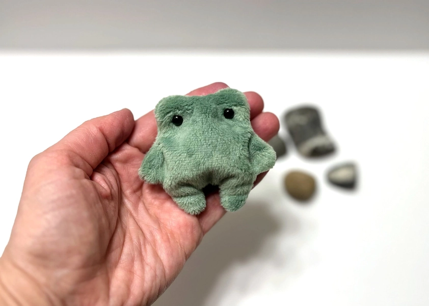 Pocket Frog Plush Toy: Worry Pet, Sensory Fidget Toy, Weighted Toad Plushie, Hug Mom