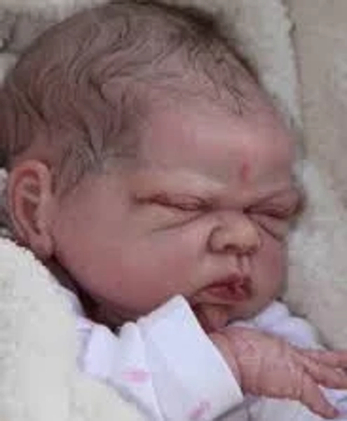 Custom Reborn Baby Emilee, 18 inches, 6 lbs Adorable
