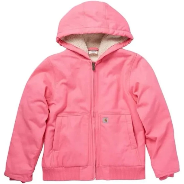 Carhartt Men's Lined Hooded Jacket