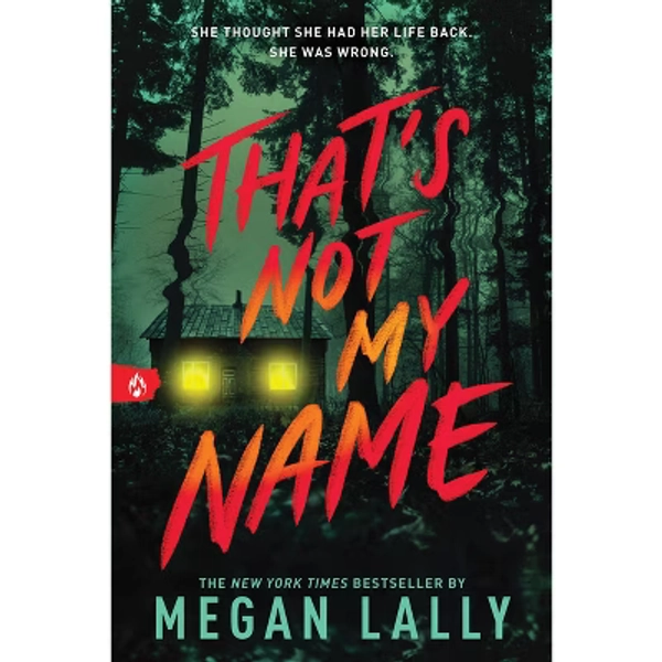 That's Not My Name - by  Megan Lally (Paperback)