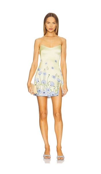 Debra Dress