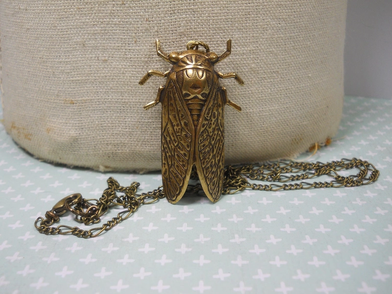 Cicada Locket Necklace: Brass Bug, Secret Compartment, Entomology Jewelry