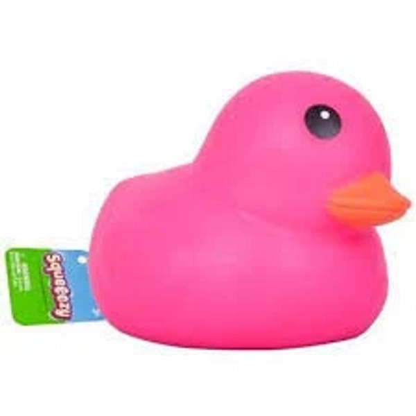 Sunny Days Tie Dye Duck