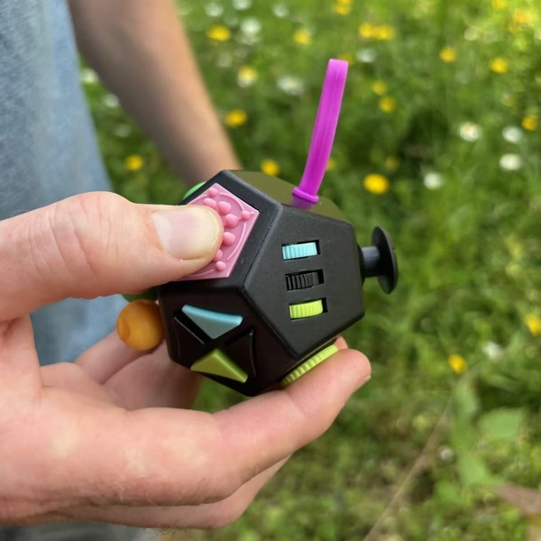 12 Sided Mega Fidget