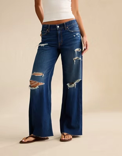 AE Low-Rise Baggy Ultra-Wide Leg Jean