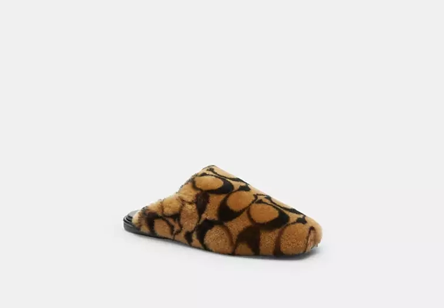 Coconut Slipper In Signature Shearling
