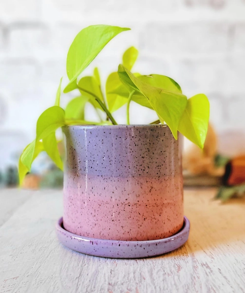 Color Blend Indoor Planters - Ceramic Planter - Pottery Planter - Flower pot with drain holes - Planter with drainage - Herb Planter