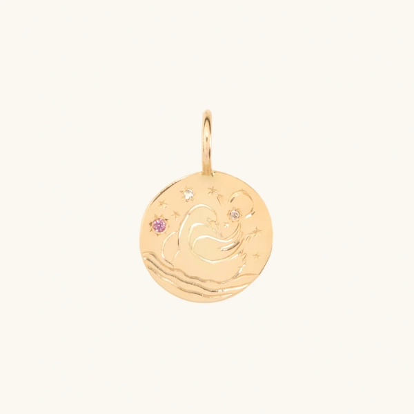Swan and Stars Charm