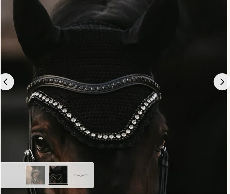 Black Swarovski V-Shaped Browband | Dy'on | elegant