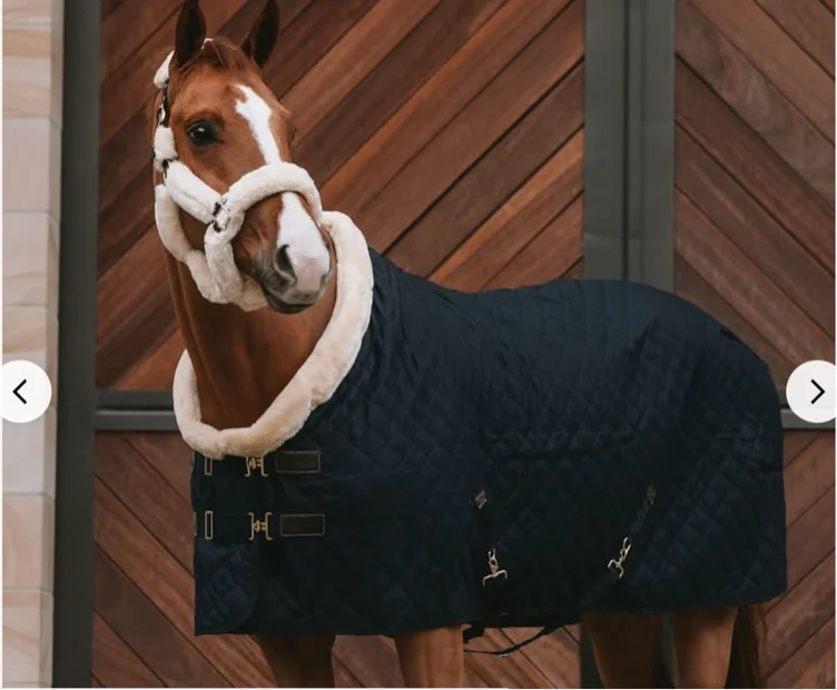Show Rug