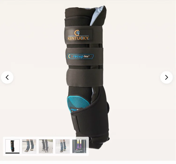 Magnetic Stable Boots Recuptex
