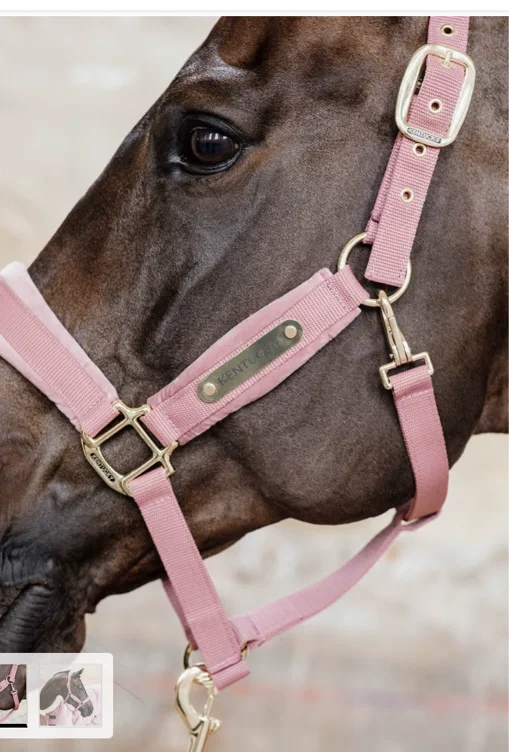 Velvet Halter