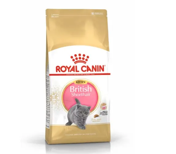 Royal Canin | British Shorthair Kitten
