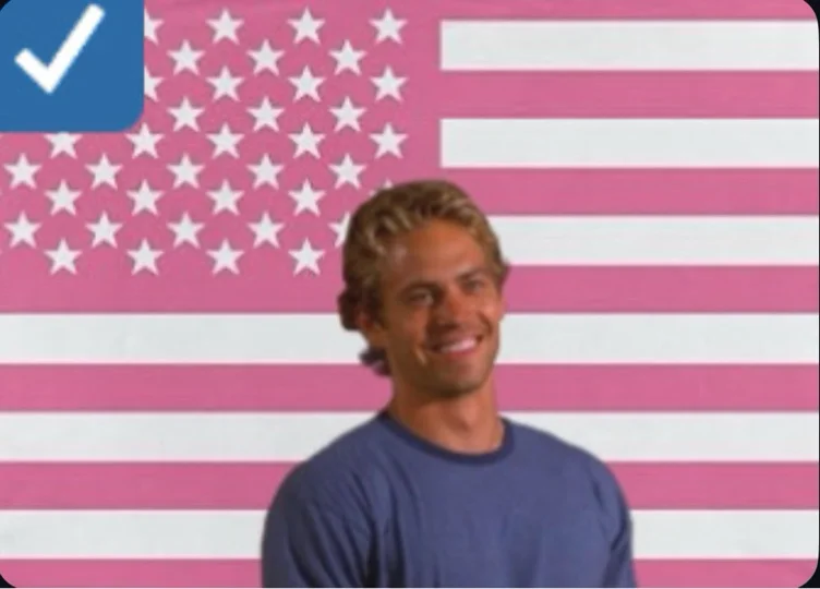 paul walker flag