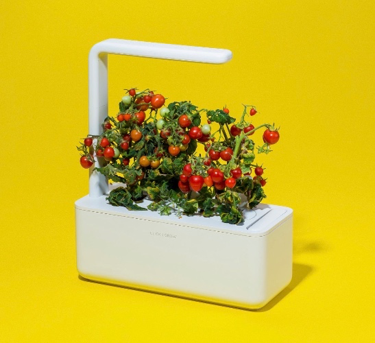 Smart Garden