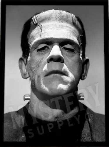 Frankenstein Poster