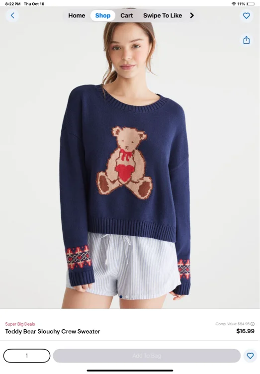 Teddy Bear Slouchy Crew Sweater