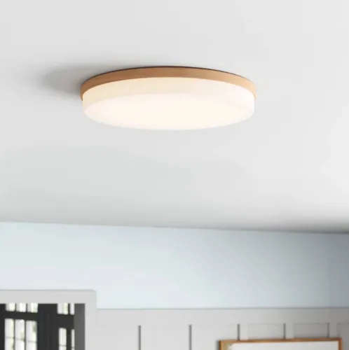 Trotman Acrylic LED Flush Mount