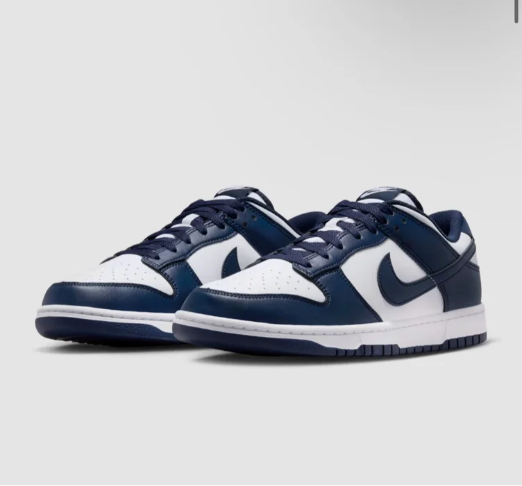 Nike Dunk Low Retro Men's Shoes