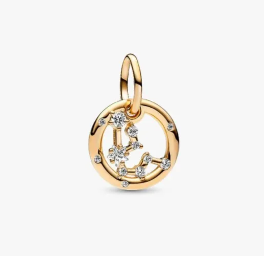 Aquarius Zodiac Dangle Charm