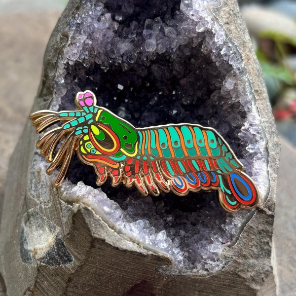 Peacock Mantis Shrimp Enamel Pin / Marine Biology / Sea Creature / Lapel Pin