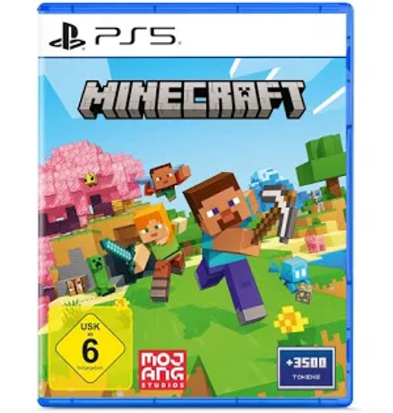 Playstation Minecraft