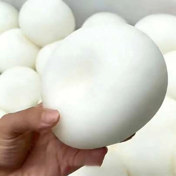 1pc Japanese Slow Rebound Plastic Steamed Bun, Can Help Students Relieve Stress And Emotions In Class - Size one-size