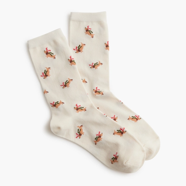 Dachshund wearing antlers trouser socks
