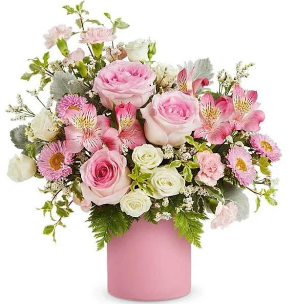 Flowers - Rosy Daydream - Regular