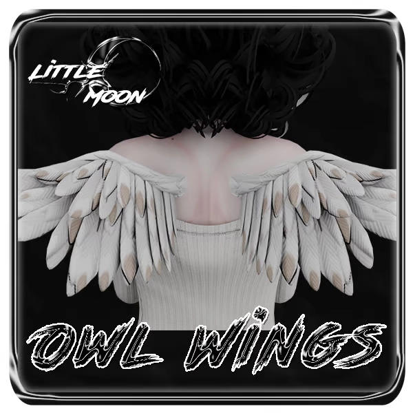 Owl Wings