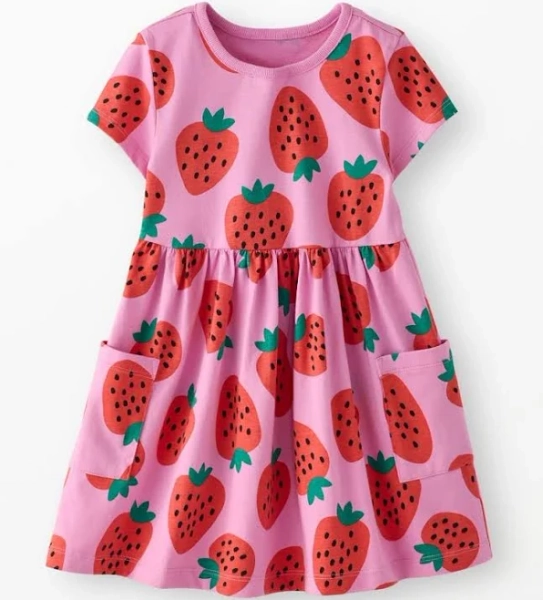 Hanna Andersson Strawberry Sweetness On Echinacea Playground Dress
