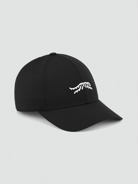 Cypress Tour 6 Panel Fitted Hat