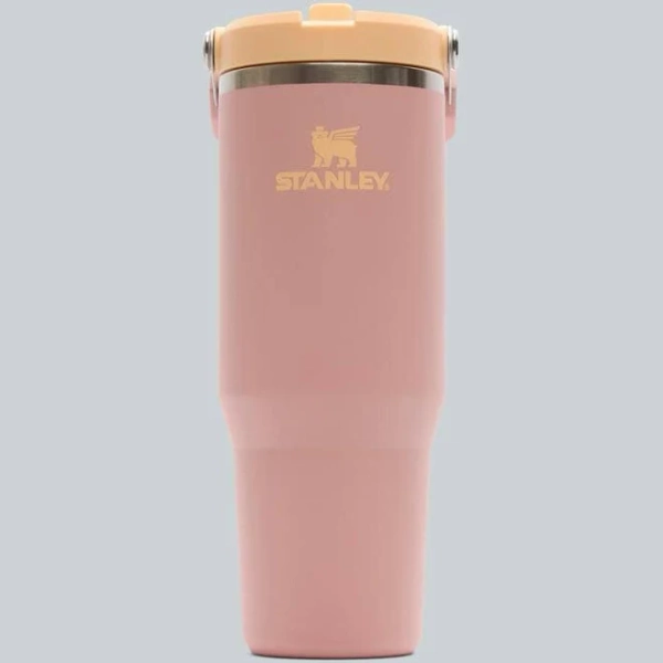 Stanley 1913 IceFlow Flip Straw