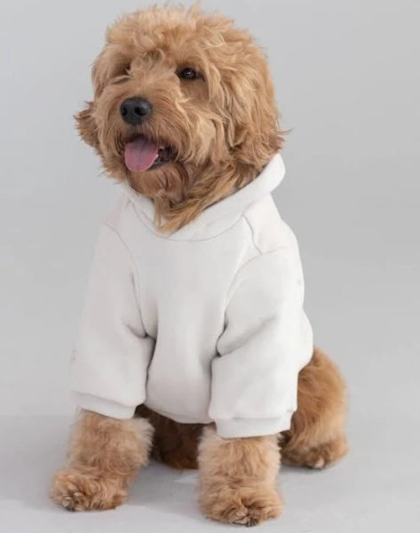 Comfrt Tranquil Paw Hoodie