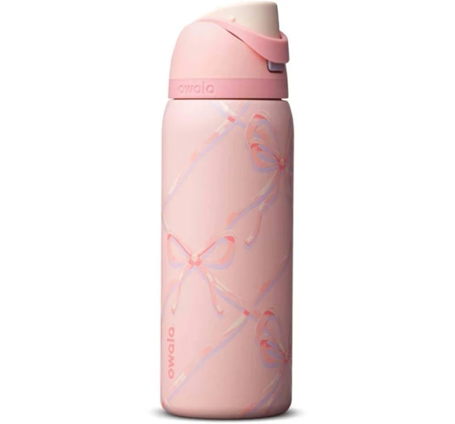 Owala FreeSip Stainless Steel Water Bottle Sugar Plum Fairy