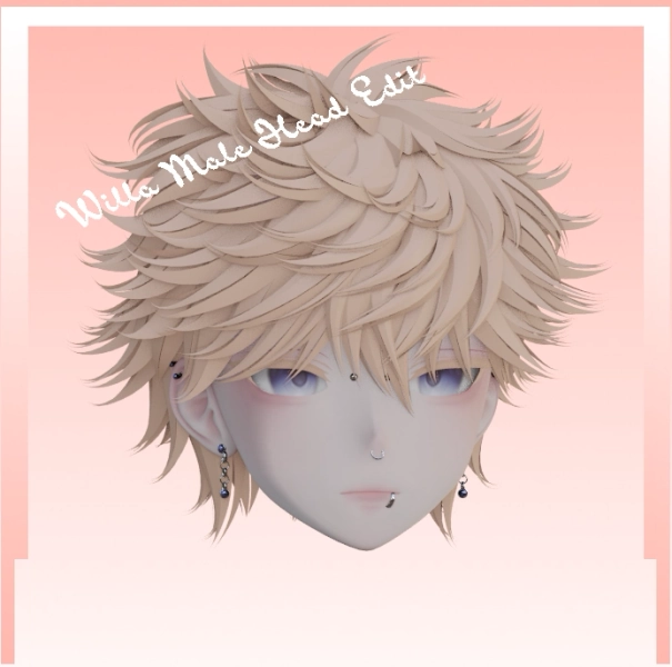 Male Willa Head Re-sculpt  by Echo on Jinxxy