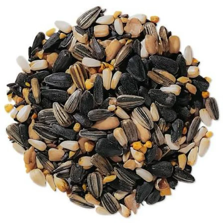 Song Bird Seed