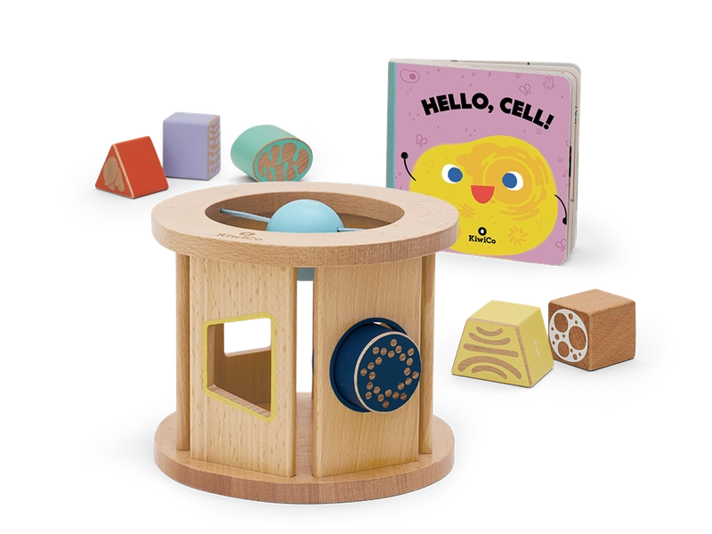 KiwiCo | Biology Blocks Shape Sorter