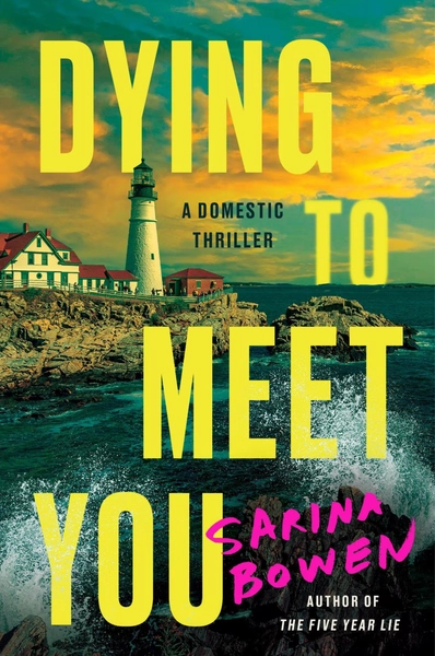 Dying to Meet You: A Domestic Thriller (Paperback) - Walmart.com