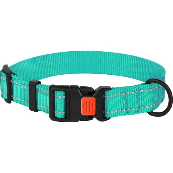 CollarDirect Adjustable Reflective Nylon Dog Collar
